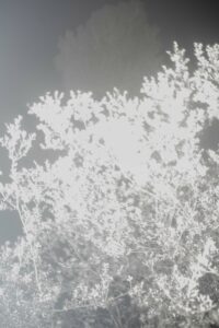 Poulain-ApresLaNuit-4