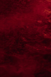 Poulain-ApresLaNuit-9