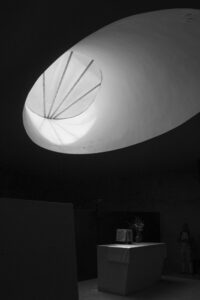 P5 BORG SPIR IMG_6353 NB RVB