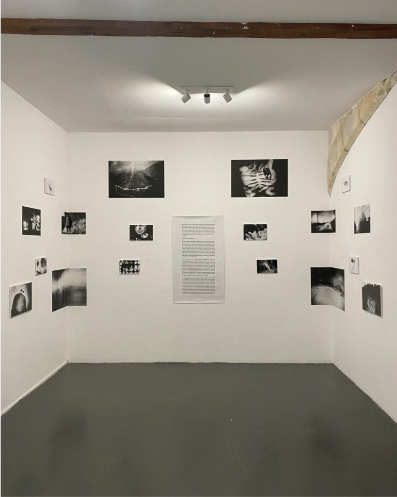 Leskaj 3 (14)